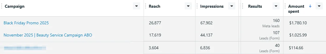 Meta Ads Manager campaign rows for November 2025 with names and device brand hidden