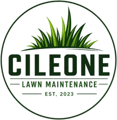 Cileone Lawns